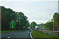 A31 - Azalea roundabout ahead