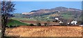 Towards Auchencairn