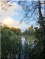 Fourwents Pond, Holmwood Common (2)