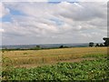 Towards Staveley from Bramley Moor