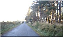 NJ7606 : Minor road on northern edge of Scotstown Wood by Stanley Howe