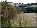 Path to the east of Manor Farm, Linkenholt village