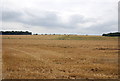 Stubble fields, Paglesham Rd