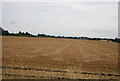 A harvested field