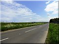 View south along Cowpen Bewley Road