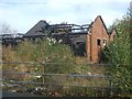 Derelict brewery buildings - Springfield Brewery