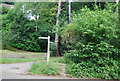 Greensand Way signpost, Wormley Lane