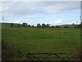 Farmland near the River Gelt