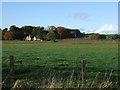 Farmland off the A69