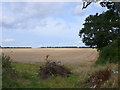 TF7234 : Fields near Fring by Nigel Mykura