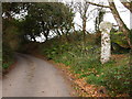 Cornish Cross Near Merther-Uny