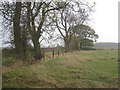 View towards Autby