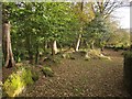 Footpath by Hayne Brook