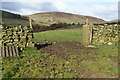 Open gateway above the Dane Valley