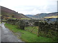 Sheepfold and barn in Cwm Tyleri