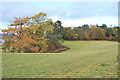 Fields and mixed woodland near Achnacloich