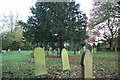 Overflow churchyard, Cadney