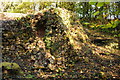 Remains of a former limekiln