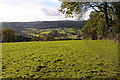 Farmland above Longhope