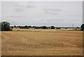 Stubble, West Hall Farm