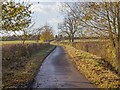 Lane to Fox Covert Farm