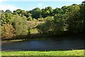 The former Bonhill Quarry