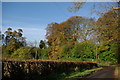 Minor road near Sorn Old Bridge