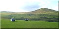 Pasture land near Blaenbanon