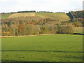 Farmland and woodland in Lauderdale