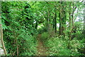 Bridleway on The North Downs