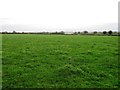 Fields south of Whittington Road