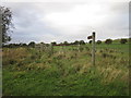 A path leading to Nesfield