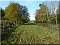 Footpath 3012 running parallel to the B2141