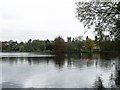 The Mere, Ellesmere