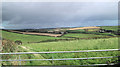 Pasture south of Tregunno Farm