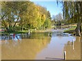 SP1251 : Bidford Grange Lock, River Avon by David P Howard