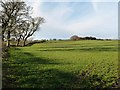 Farmland at Twathats