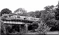 The Sixmilewater railway bridge, Antrin (1983)