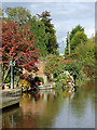 Colourful canalside garden near Burland, Cheshire