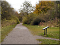 Path in Highfield Country Park