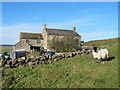 Milecastle 38 and Hotbank Farm