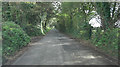 Carclew Road within Mylor Clump