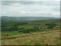 Coombes Tor (1)