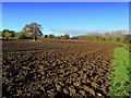 Ploughed Field by Water Lane