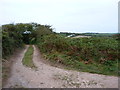 Track towards Manor Parsley Farm