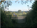 Bridleway railway crossing