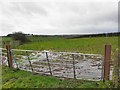 A muddy field, Drumlister