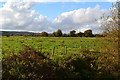 Meadows to the west of Salisbury