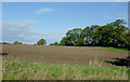 Farmland north of Wrenbury-cum-Frith, Cheshire