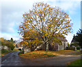 A Barn in Autumn